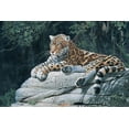 thumbnail image 2 of Unknown 32x23 Black Ornate Wood Framed with Double Matting Museum Art Print Titled - Jaguar, 2 of 4