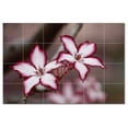 thumbnail image 1 of Flowers Ceramic Tile Mural Kitchen Backsplash Bathroom Shower, 402457-XL64, 1 of 3