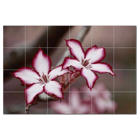 Flowers Ceramic Tile Mural Kitchen Backsplash Bathroom Shower, 402457-XL64