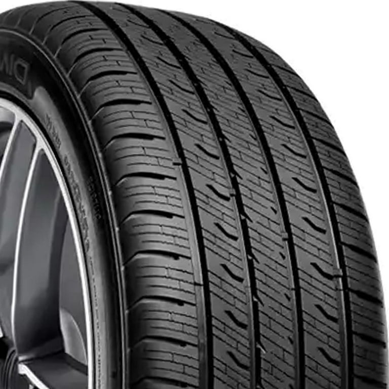 Radar Dimax AS-9 All Season 225/50R18 99W XL Passenger Tire