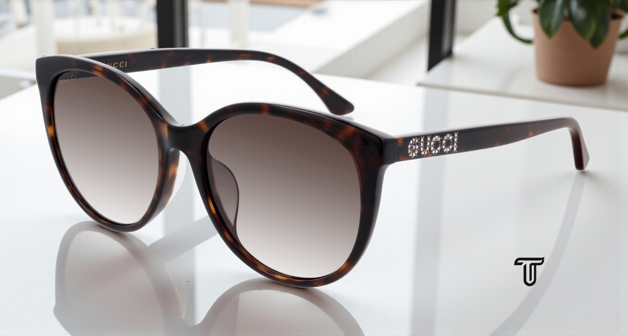 Gucci GG0281S-002 Havana Square Brown Lens Women\'s Acetate Sunglasses Amazon.com: Gucci - GG1550SK (Havana) : Clothing, Shoes  main image 4