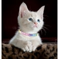 thumbnail image 5 of (1 pcs) Breakaway Cat Collars with Bell,Kitty Necklace for Kitten Puppy Dog Bling Rhinestone Small Pet Collar Girl Boy, 5 of 6