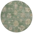 thumbnail image 2 of Addison Rugs Chantille Indoor/Outdoor Traditional Global Fern Machine Washable Round Rug, 8' x 8', 2 of 8
