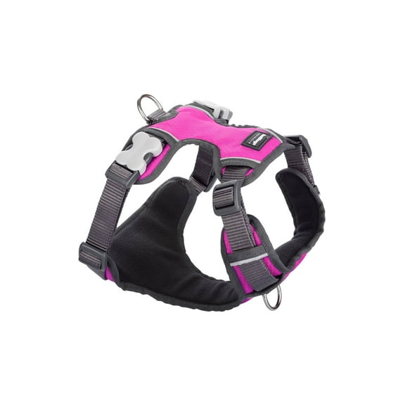 Red Dingo Padded Harness