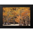thumbnail image 2 of Podt, Martin 14x11 Black Modern Framed Museum Art Print Titled - Autumns Painting, 2 of 5