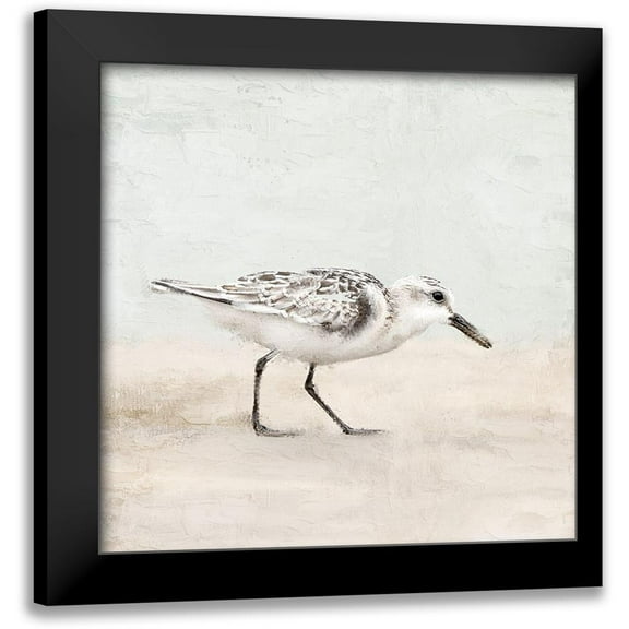 Allen, Kimberly 12x12 Black Modern Framed Museum Art Print Titled - Sandpiper 1