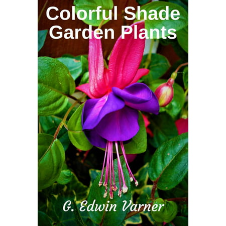 Colorful Shade Garden Plants - eBook