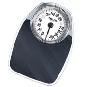 Taylor Speedometer Dial Scale