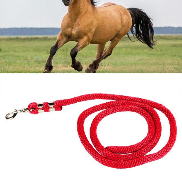Horse Lunge Line§horse Web Lunge Line§horse Training Rope§horse Lunge Line With Snap§horse Lunge Rope§lunge Line For Horses Horse Lunge Line With Snap Heavy Duty High Tensile