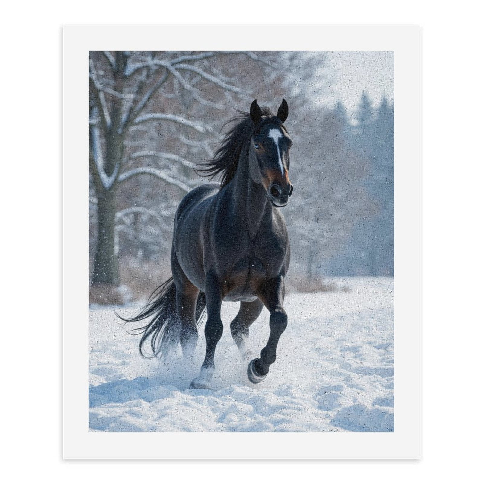 Paint by Numbers Kit for Adults, Black Horse Winter Gallop Paint by Numbers, Easy Paint by Numbers Kit for Adults Beginner, DIY Adult Paint by Number Kits on Canvas, Home Decor