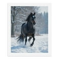 thumbnail image 5 of Paint by Numbers Kit for Adults, Black Horse Winter Gallop Paint by Numbers, Easy Paint by Numbers Kit for Adults Beginner, DIY Adult Paint by Number Kits on Canvas, Home Decor, 5 of 7