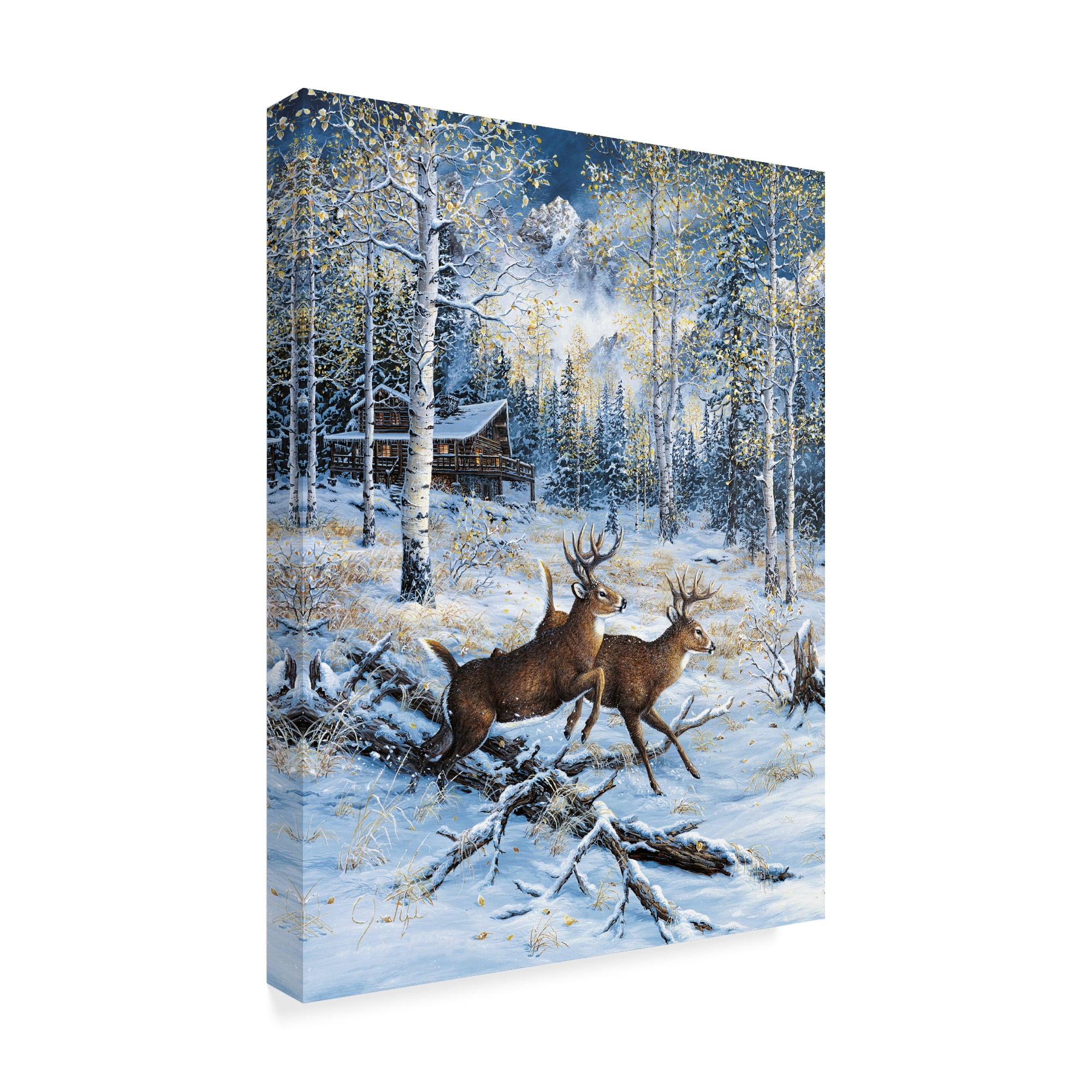 Trademark Fine Art 'A Pair' Canvas Art by Jeff Tift