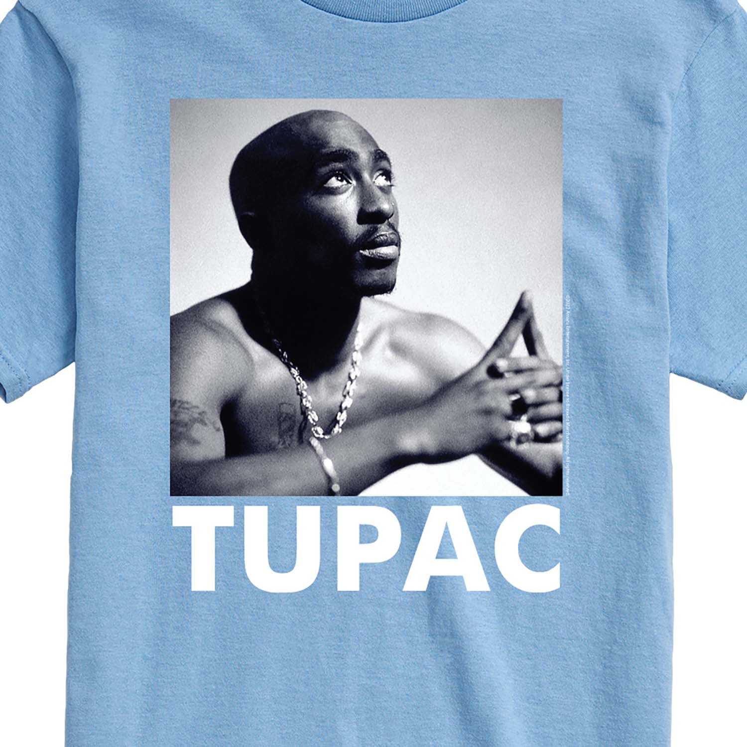 Buy Tupac - The Poet - Men's Short Sleeve Graphic T-Shirt Online at ...
