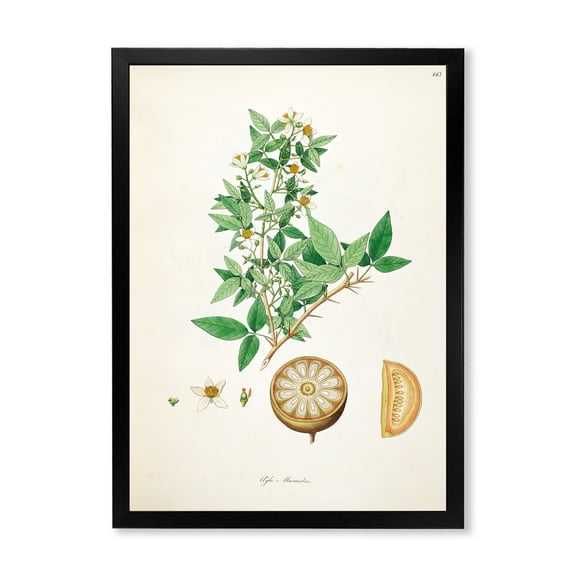 Designart 'Ancient Plant Life X' Farmhouse Framed Art Print