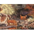thumbnail image 2 of Unknown 18x15 White Modern Wood Framed Museum Art Print Titled - Drinking Hole, 2 of 4