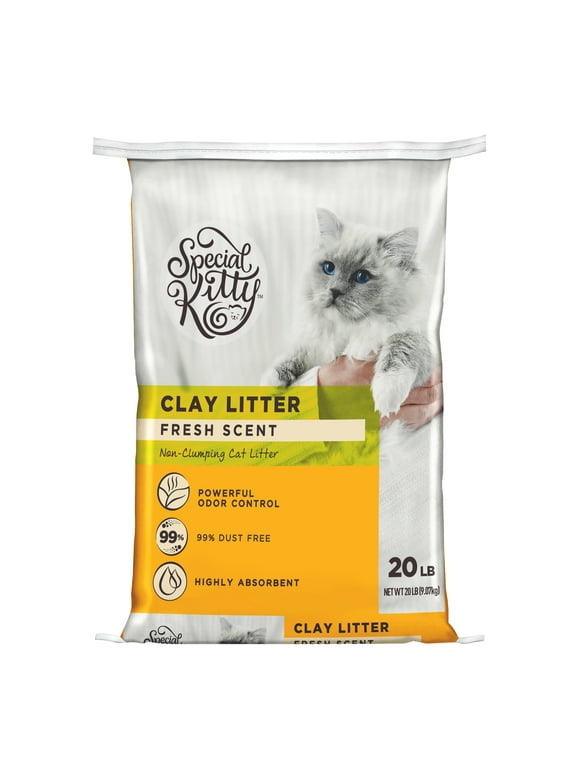 Special Kitty Fresh Scent Non-Clumping Clay Litter, 20 lbs