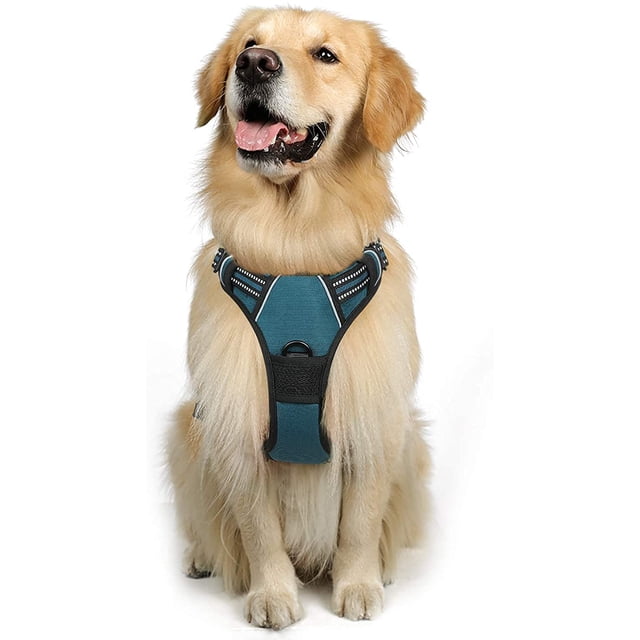 Rabbitgoo Arnés para Perros, Arnés para Mascotas sin Tirones con 2 Clips para Correa, Chaleco para Perros Acolchado Suave y Ajustable, Chaleco Oxford Reflectante para Mascotas sin asfixia con asa de f