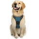 thumbnail image 1 of Rabbitgoo Arnés para Perros, Arnés para Mascotas sin Tirones con 2 Clips para Correa, Chaleco para Perros Acolchado Suave y Ajustable, Chaleco Oxford Reflectante para Mascotas sin asfixia con asa de f, 1 of 4