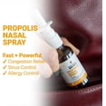thumbnail image 6 of BEE & YOU Antibacterial Propolis Nasal Spray, 1 Fl oz, Moisturize, Congestion Relief, Drug-Free, 6 of 9