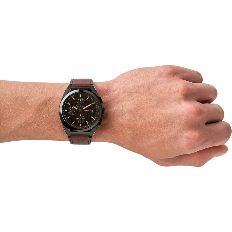 Fossil edifice shop
