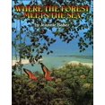 thumbnail image 1 of Where The Forest Meets The Sea, 1 of 3