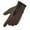 #0233-Brown, variant on Neewe Fleece Lined Windproof Ski Gloves Outdoor Sports Anti Skid Zipper Thermal Gloves