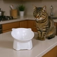 thumbnail image 5 of Ceramic Elevated Cats Bowls, Extra Wide Raised Cats Bowls, Shallow Whisker Friendly Food & Water Dish, Anti Vomit, Microwave & Dishwasher Safe, 5 of 7