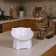thumbnail image 5 of Elevated Cat Food and Water Bowl, Anti-Vomit Slow Feeder, Tilted Design for Neck Support, Whisker Relief Pet Feeding Dish, Large Capacity for Dry Wet Food, Easy Clean Durable Plastic Bowl for Cats, 5 of 7