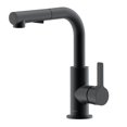 thumbnail image 1 of The akuaplus® ANNA pull down Kitchen Faucet., 1 of 5