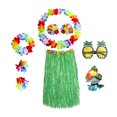 thumbnail image 1 of Traje De Falda De Hierba Traje de falda de hierba para fiesta, disfraz hawaiano para escenario de playa (verde), 1 of 6