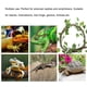 thumbnail image 4 of M Buder Set de Rama Trepadora para Reptiles y Enredadera de Jungla Flexible 100 cm / 3.28 ft con Hojas de Hiedra para Terrario y Decoración de Acuario Seguro, 4 of 8