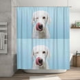 thumbnail image 5 of Rateoe Puppy Licks Nose Shower Curtain - Fancy Bathroom Shower Curtain Sets - Waterproof Shower Curtain with Hooks with 12 Plastic Hooks 72x72 Inches, 5 of 5