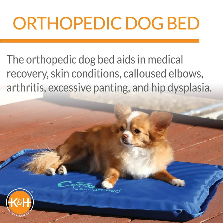 Dog beds for hip dysplasia cheap
