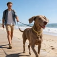 thumbnail image 5 of Gold Stainless Steel P Chain Dog Collar Training Necklace Secure Control For Small, 5 of 5