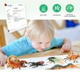 thumbnail image 4 of Volnau Insect Toys Figurines 13PCS Bug Toys Figure Pack Decorations Educational Cicada Bee Spider, 4 of 10