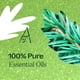 thumbnail image 5 of Árbol de Navidad con aceite esencial Plant Therapy, 10 ml (1/3 fl.oz), 5 of 8