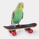 thumbnail image 4 of Paquete de 5 juguetes de entrenamiento de aves para loros: juego de juguetes de entrenamiento de inteligencia para periquitos con canasta para patinete, anillo apilable, mini carrito de compras, 4 of 5