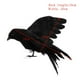 thumbnail image 5 of 2x Vivid Artificial Birds Decorativo Raven Magpie para home and garden Decor, 5 of 9