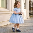 thumbnail image 6 of DREAM PAIRS Toddler Girls' Mary Jane School Dress Shoes with Dual Removable Insoles, Wide Fit & Hook-and-Loop Straps, 6 of 6