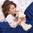 thumbnail image 3 of Sherpa Fleece Throw Blanket for Kids,Super Soft Light Weight Reversible Fuzzy Snuggle Blanket for Camping Couch Bed All, 3 of 7