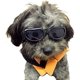 thumbnail image 1 of Gafas de sol para perros, gafas de sol Ant - UV negras para perros, gafas para mascotas con correas ajustables para gatos y perros pequeños, 1 of 4