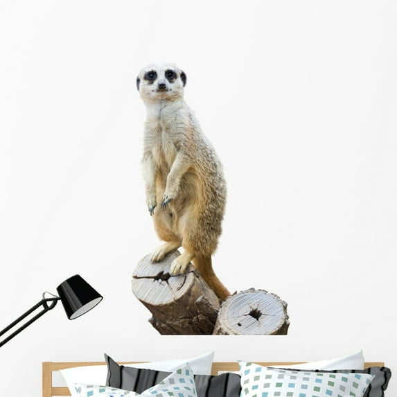 Suricata by Wallmonkeys Peel and Stick Graphic (48 in H x 28 in W) WM251931