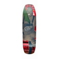 thumbnail image 1 of RAYNE Longboard Deck Slide Series Catalyst 9.375' x 32.5', 1 of 1