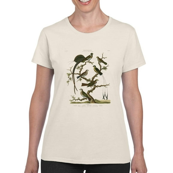 Ornithology I T-Shirt Women -Sydenham Edwards Designs, Female x-Large