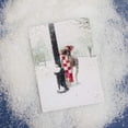 thumbnail image 3 of Christmas Cards, Frozen Greetings, 100-Count Value Pack, 3 of 3