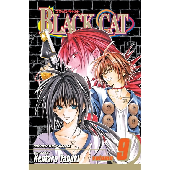 Black Cat: Black Cat, Vol. 19 (Series #19) (Paperback)