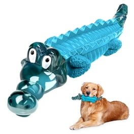 What Color Toy is Best for Dogs: Ultimate Guide to Choosing Right
