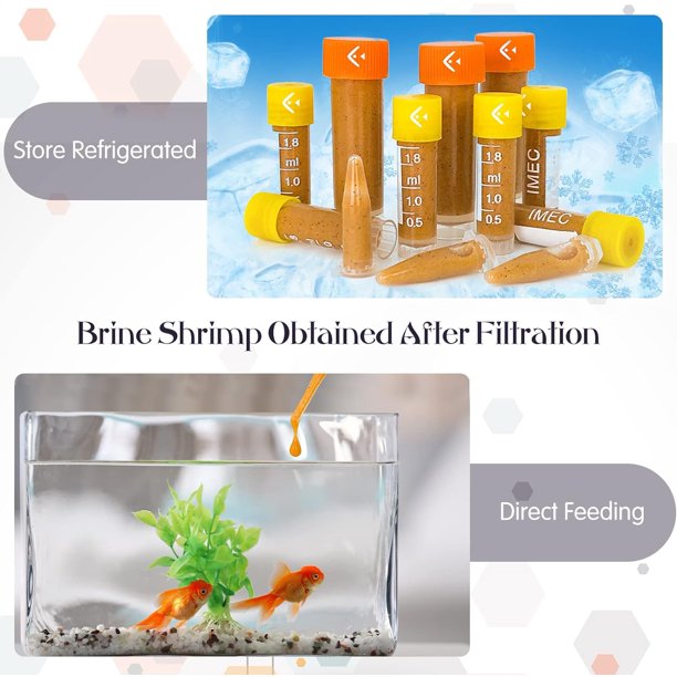 GFDYREE 2 Pcs Baby Brine Shrimp Net Brine Shrimp Sieve Fish Net Aquarium 80 Mesh 200 Mesh Sieve for Filter Brine Shrimp Hatchery Fry Brine Shrimp Eggs for Hatching Baby Fish Separator Walmart