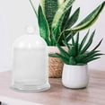 thumbnail image 5 of Cloche Glass Dome, Clear Glass Bell Jar, Decorative Cloche Jar, Glass Cloche to Cover Plants and Decorations, for Home Décor-Transparent, 5 of 5