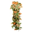 thumbnail image 5 of Penn-Plax Reptology Plastic Hanging Vines for Reptiles – 24” Length – Green & Orange, 5 of 7